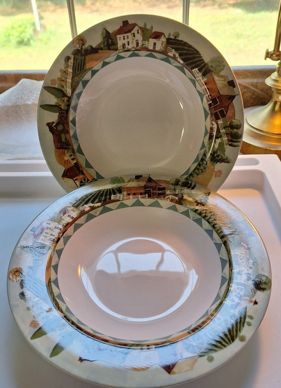 2 Farberware By Retroneu Country Life Rimmed Soup Bowls 9"